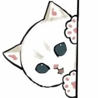 🐱 chat, chaton, mignon, blanc, regardant, animal telegram sticker