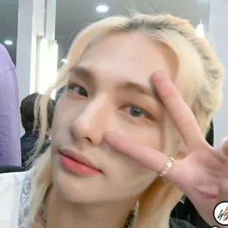 🐇 kpop, アイドル, セルフィー, ピースサイン, ブロンドヘア, ポートレート telegram sticker