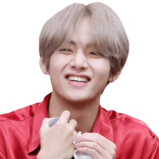 😁 persona, uomo, sorriso, cantante, kpop, celebrità telegram sticker