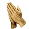 👏