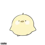 😠 MINTAP Küken, süß, Vogel, Tier, kawaii, Mintap telegram sticker