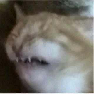 🤡 кот, сонный, клыки, животное, зубы telegram sticker