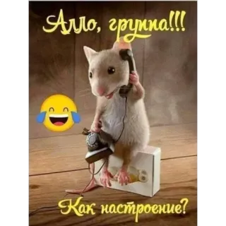 🙂 Алло, группа!!! Как настроение? мышь, телефон, животное, смешные, приветствие whatsapp sticker