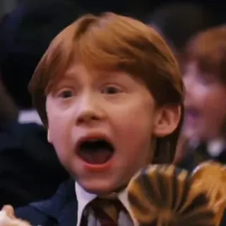 🦁 Ron Weasley Harry Potter ハリーポッター, ロン・ウィーズリー, サプライズ, ショック, 映画 telegram sticker