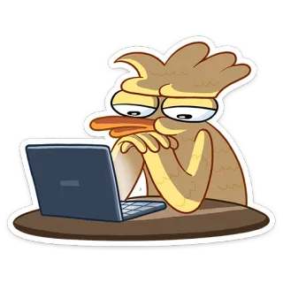 💻 pato, portátil, dibujos animados, ordenador, pájaro whatsapp sticker