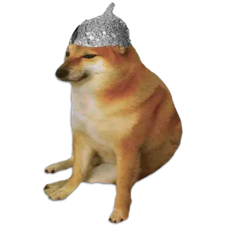 🧠 チームス, ドージ, 犬, アルミホイル帽子, ミーム telegram sticker