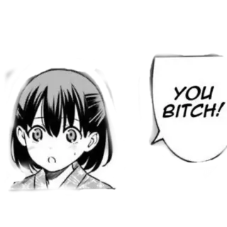 😂 YOU BITCH! offensive, slur, anime, manga, cartoon, woman telegram sticker