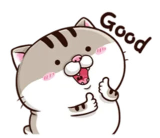 😀 Good Katze, Tier, gut, Daumen hoch, süß, positiv, Zustimmung whatsapp sticker