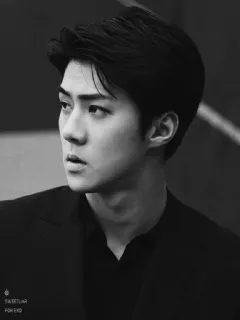 ➖ SILVERLUR
FOR EXO K-pop, Música, Cantor, Idol, EXO telegram sticker