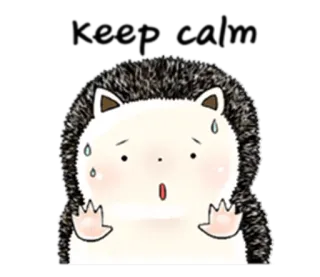 😥 Keep calm hérisson, reste calme, inquiet, mignon, animal, illustration telegram sticker