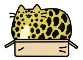 😣 고양이, 상자, 표범, 동물, 만화, 애완동물, 새끼 고양이, 귀여운 whatsapp sticker