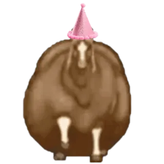 🤩 animal, horse, party hat, funny, cute, sticker, cartoon telegram sticker