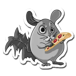 🍕 cincillà, pizza, animale, carino, adesivo, cibo whatsapp sticker