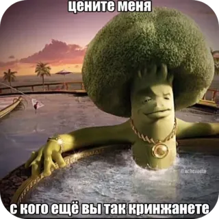 😎 цените меня
с кого ещё вы так кринжанете broccoli, pool, luxury, meme, cartoon telegram sticker