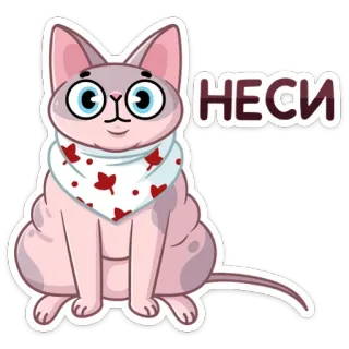 ☺️ НЕСИ gatto, gatto sphinx, adesivo, animale, animale domestico telegram sticker