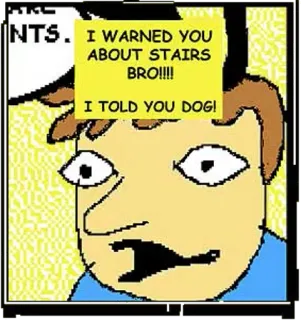 🏃 I WARNED YOU ABOUT STAIRS BRO!!!! I TOLD YOU DOG! Treppe, Bruder, Hund, Warnung, Cartoon whatsapp sticker