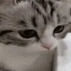 👀