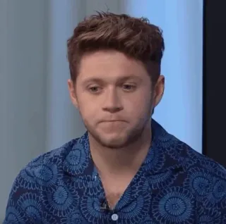 🎸 Niall Horan Niall Horan, cantor, celebridade, retrato, One Direction telegram sticker
