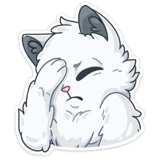 🙈 cat, facepalm, cute, cartoon, animal, sticker, white cat telegram sticker