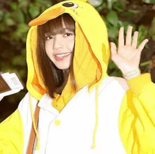 💕 mulher, amarelo, fofo, animal, pato, K-pop, ídolo, Lisa whatsapp sticker