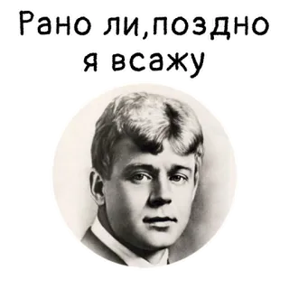 🥰 Рано ли, поздно я всажу telegram sticker
