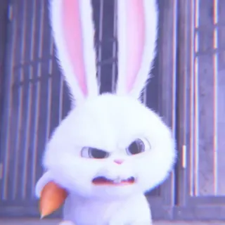 🐰 Snowball The Secret Life of Pets Snowball, bunny, angry, cartoon, pet, rabbit whatsapp sticker