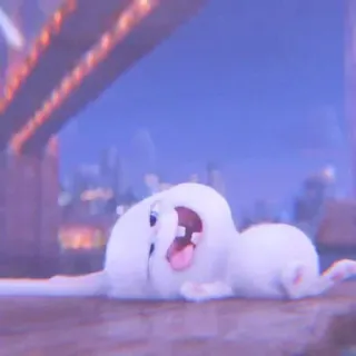 🐰 Snowball The Secret Life of Pets rabbit, bunny, cartoon, animal, funny, cute, pet whatsapp sticker
