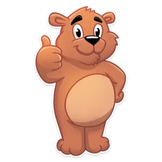 👍 urso, polegar para cima, desenho animado, animal, positivo, aprovação whatsapp sticker