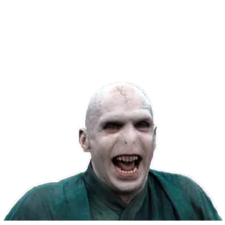 Harry Potter whatsapp stickers