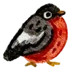 🐦