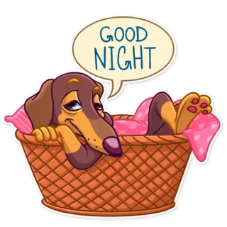 💤 GOOD NIGHT หมา, ดัชชุน, ราตรีสวัสดิ์, นอน, ตะกร้า, น่ารัก, การ์ตูน telegram sticker