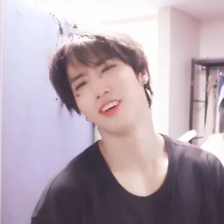 🐿 whatsapp sticker