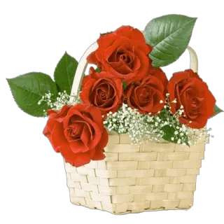 🌹 roses, flowers, basket, red, floral whatsapp sticker