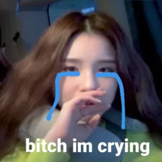 😭 bitch im crying 哭, 伤心, 表情包, 情绪化, 贴纸, 女人 whatsapp sticker