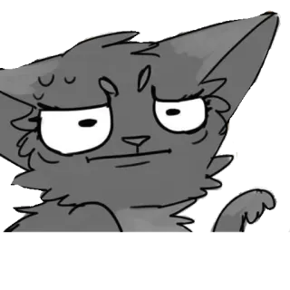 🤨 Katze, Tier, Meme, arrogant, Stinkefinger telegram sticker