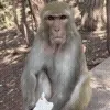 😡