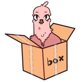 📦 box pombo, pássaro, caixa, fofo, animal, desenho animado, engraçado telegram sticker