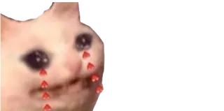 🥰 gato, triste, chorando, meme, emoções telegram sticker