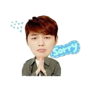 🙏 Sorry desculpa, arrependido, remorso, súplica, perdão telegram sticker