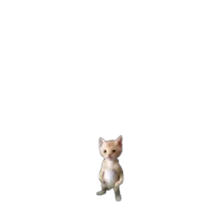 Ⓜ️ gatto, animale, carino, gattino, animale domestico telegram sticker