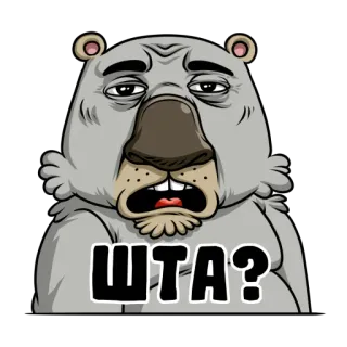 😫 ШТА? หมี, คำถาม, รัสเซีย, สับสน, การ์ตูน telegram sticker