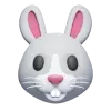 🐰