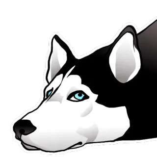 😕 chó, husky, động vật, thú cưng, nhà telegram sticker