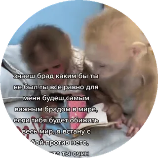 Больше стиков тут: @stikery4 whatsapp stickers