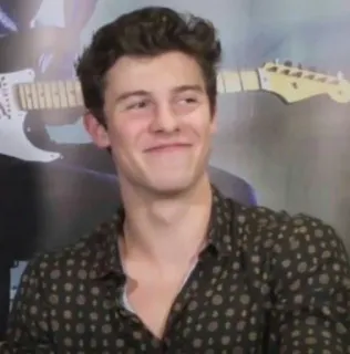 😏 Shawn Mendes singer, celebrity, musician, portrait telegram sticker