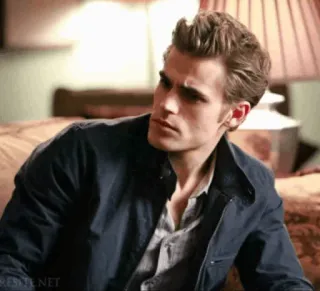 😐 Stefan Salvatore The Vampire Diaries Wampir, Serial TV, Dramat, Romans, Nadprzyrodzone, Serial młodzieżowy telegram sticker