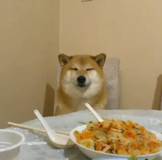 ❤️ dog, shiba inu, food, table, animal, pet, dinner telegram sticker