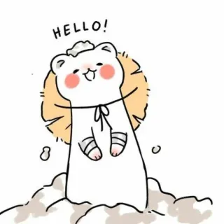 👋 HELLO! медведь, милый, привет, стикер whatsapp sticker