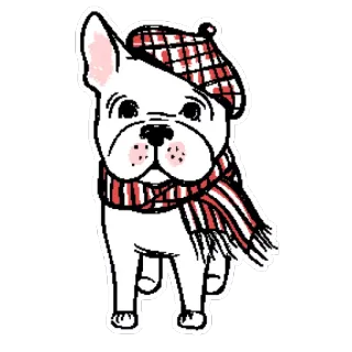 🐶 perro, bulldog francés, bufanda, boina, lindo, animal, mascota telegram sticker