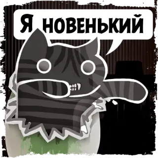 🐛 Я НОВЕНЬКИЙ cat, new, kitten, cute, animal telegram sticker